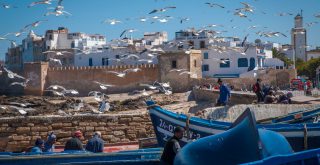 Hafen von Essaouira