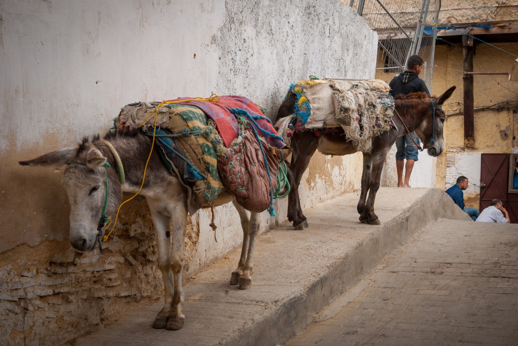 Fes el Bali