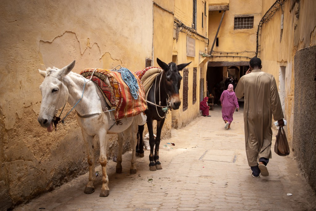 Fes el Bali