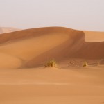 Sanddünen Erg Chebbi, Marokko