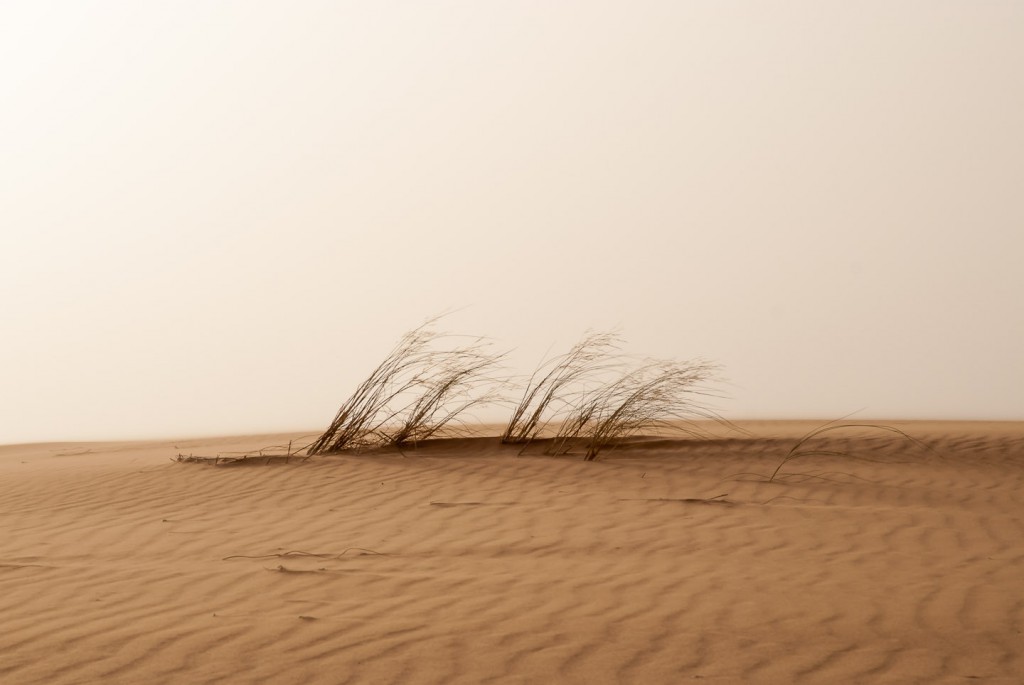 Sanddünen Erg Chebbi, Marokko