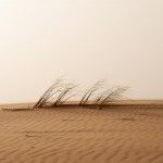 Sanddünen Erg Chebbi, Marokko