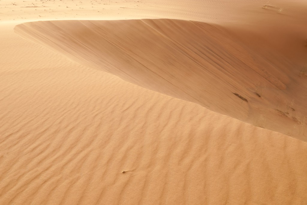 Sanddünen Erg Chebbi, Marokko