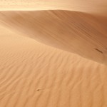 Sanddünen Erg Chebbi, Marokko