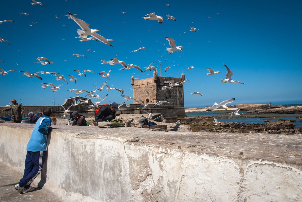 Alltag in Essaouira