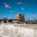 Alltag in Essaouira