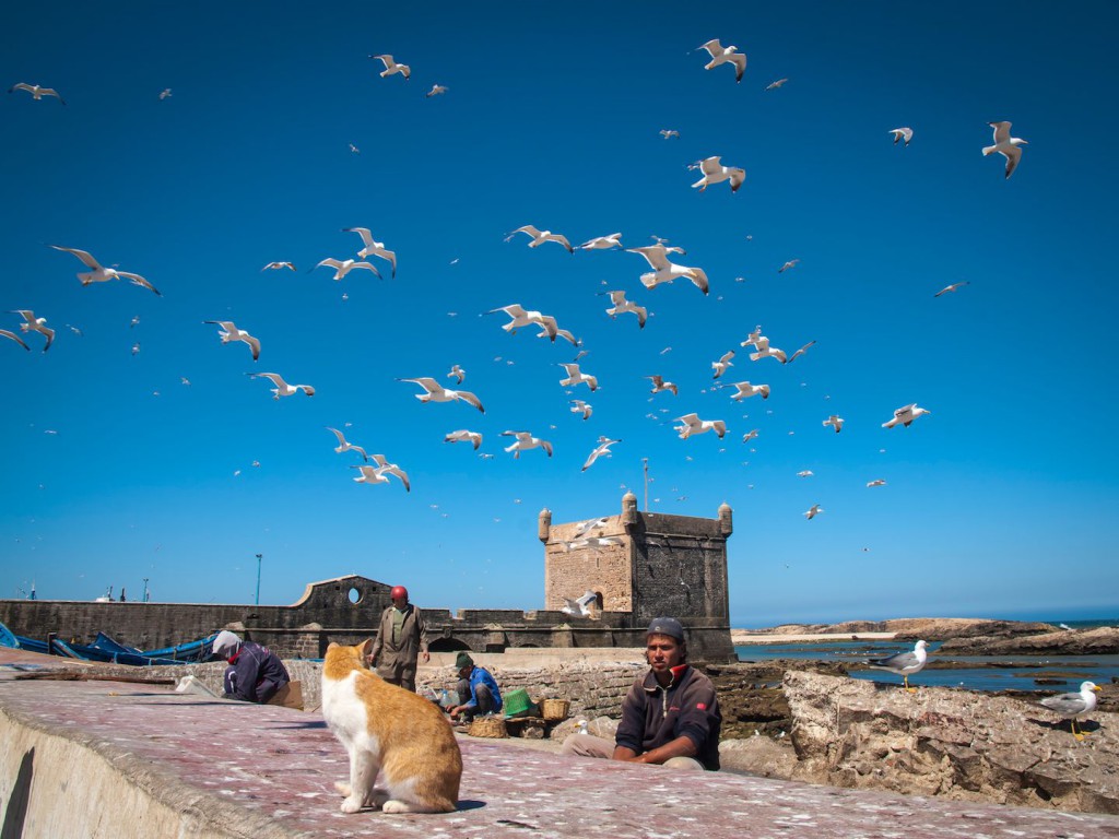 Alltag in Essaouira