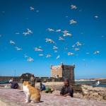 Alltag in Essaouira