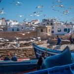 Hafen von Essaouira