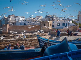 Hafen von Essaouira