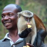 Tafi Atome Mona Monkey